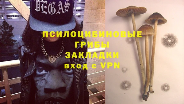 спайс Алексеевка