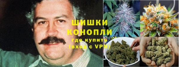 мяу мяу мука Алзамай
